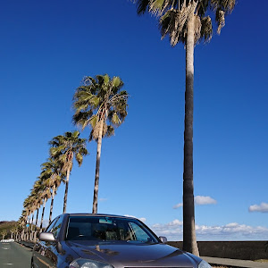 マークII iR-V