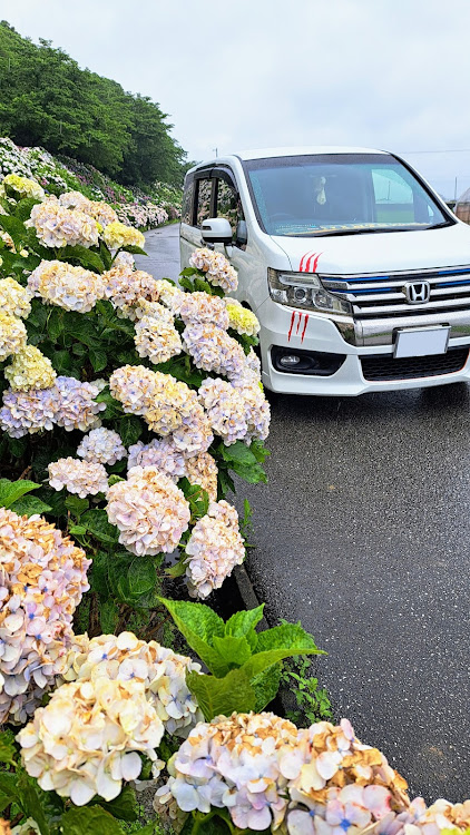 ステップワゴンスパーダのカメ活ドライブ・目指せPickUpCars・結婚記念日でしたに関するカスタム事例の投稿画像2枚目