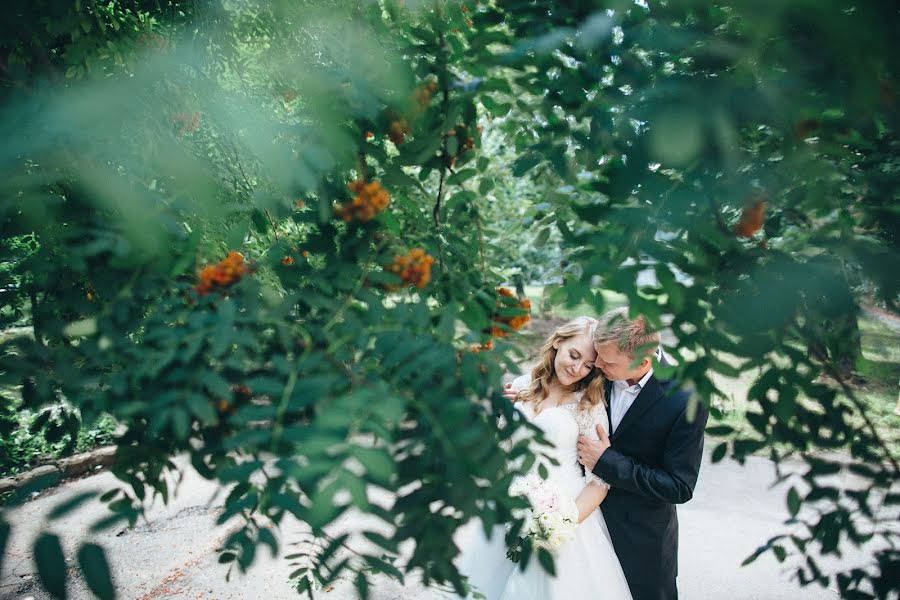 Fotografo di matrimoni Ekaterina Shteynberg (steinberg). Foto del 1 dicembre 2015