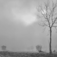 l'albero e la casetta di 