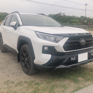 RAV4 MXAA54