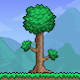 Terraria Download on Windows