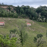 Tra verde e campagna di 