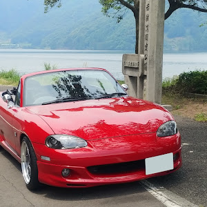 ロードスター NB8C