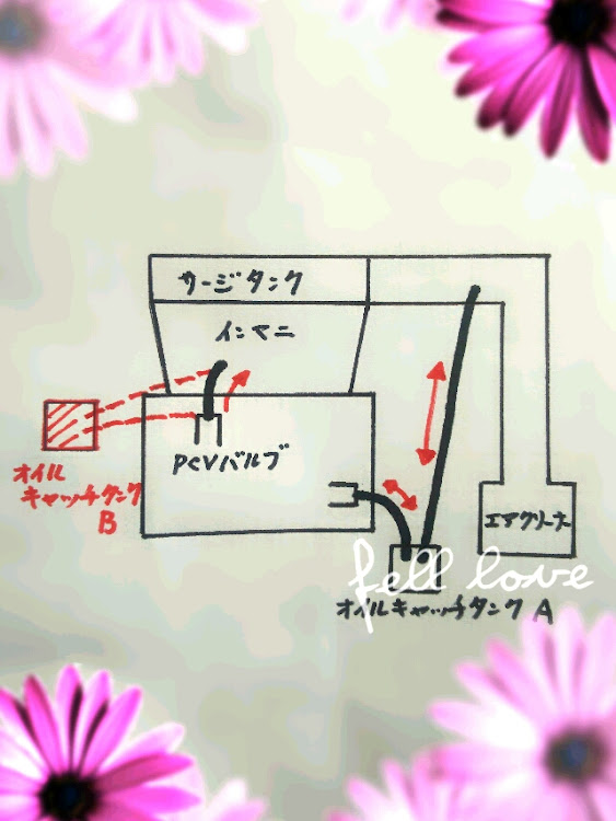 の投稿画像1枚目