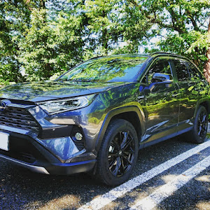 RAV4 AXAH54