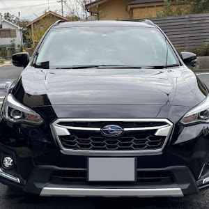 XV GTE