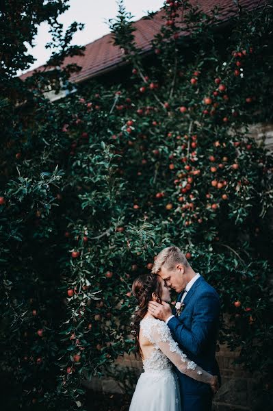 Fotografo di matrimoni Michaela Smetanová (smetanovam). Foto del 2 febbraio 2019