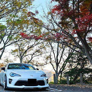 86 ZN6