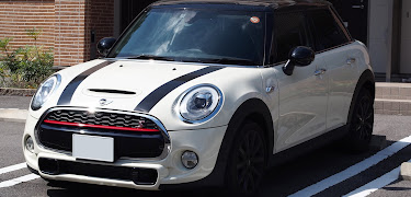 Mini F55をカスタムしたい おすすめカスタムパーツも紹介します