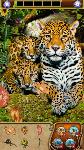 Screenshot Hidden Object: Animal World