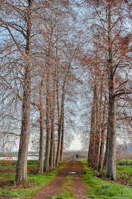 guarda chi c'è di marcopardiphoto