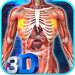 Cover Image of 下载 Human anatomy 3D: Bones & Female Organs Offline 1.6 APK