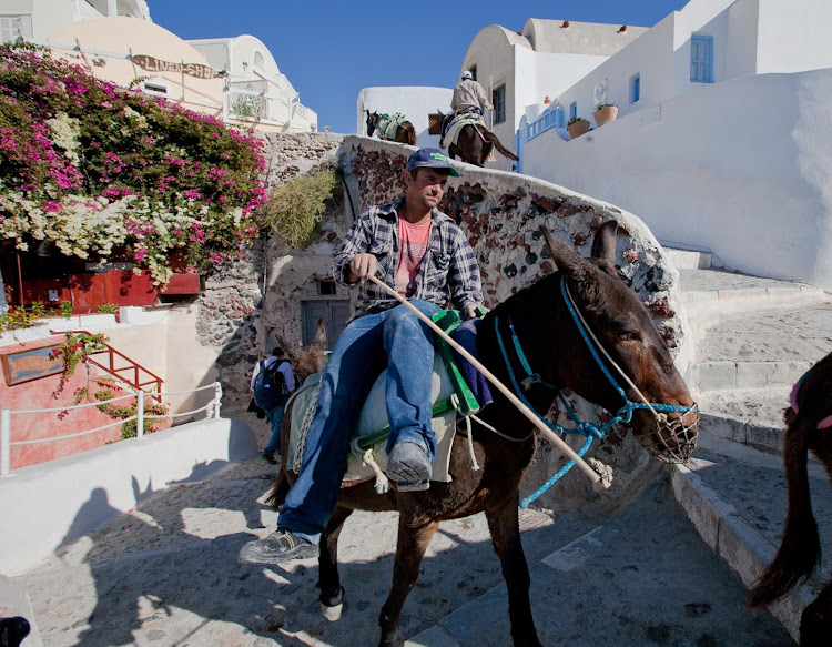 Donkeys making their way up the steps of Oia, Santorini. 