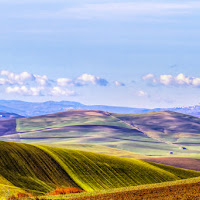 Colline Murgesi di 