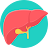 Hepatic Calculator icon