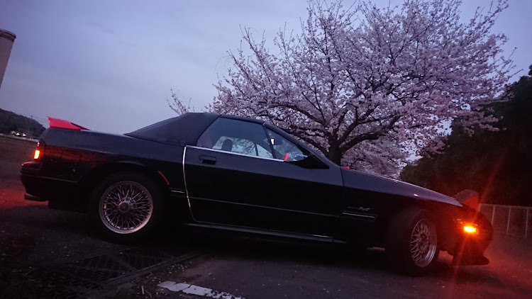 RX-7の桜祭り💃・毎月8日はリトラの日・ええ、昨日ですが何か❓・詩音たんに関するカスタム事例の投稿画像11枚目