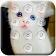 chat casier de broche icon