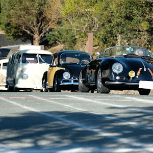 356