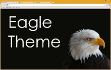 Eagle Bird Theme small promo image