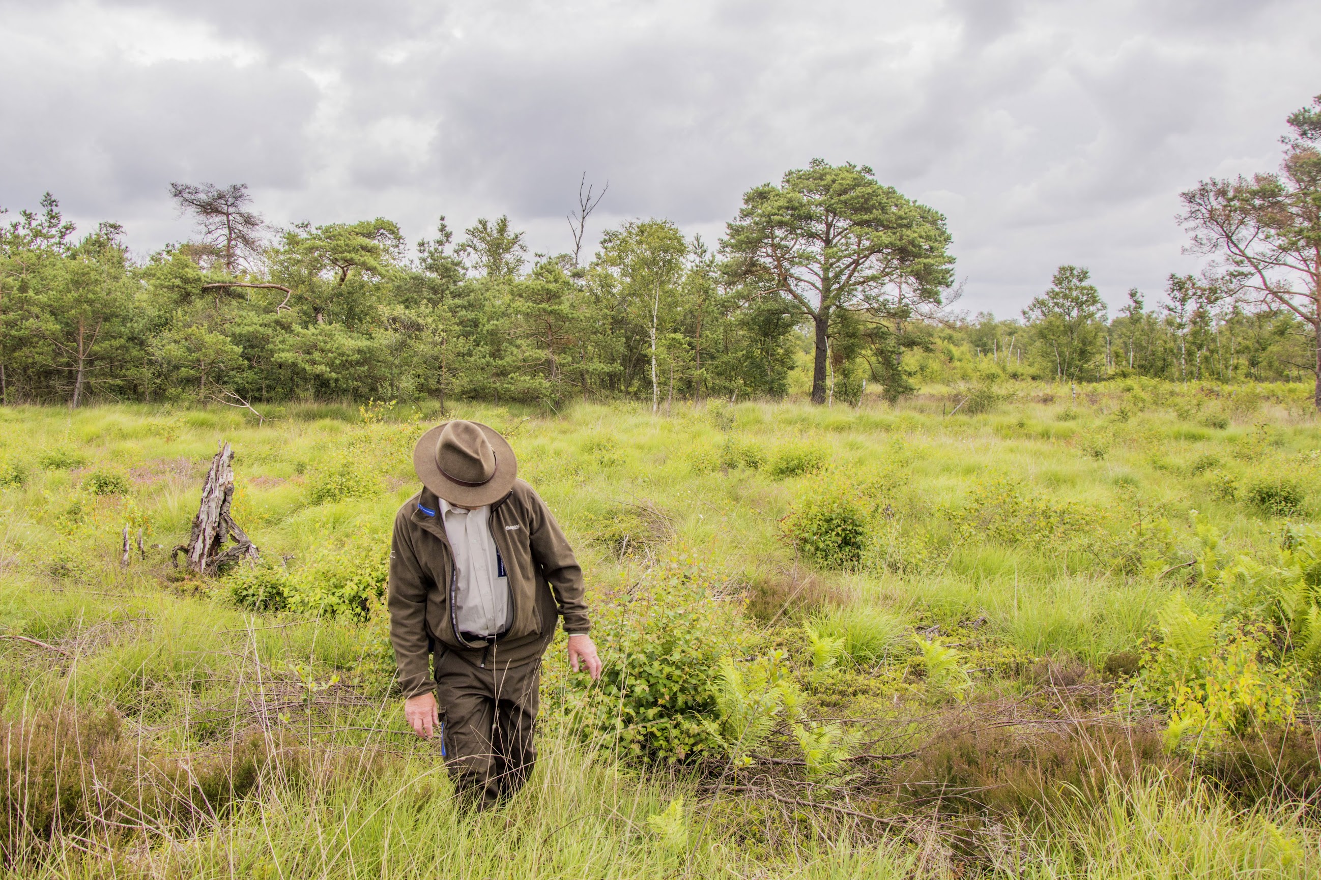 wandelen-in-nederland