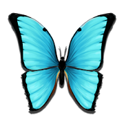 Butterfly Meadow  Icon