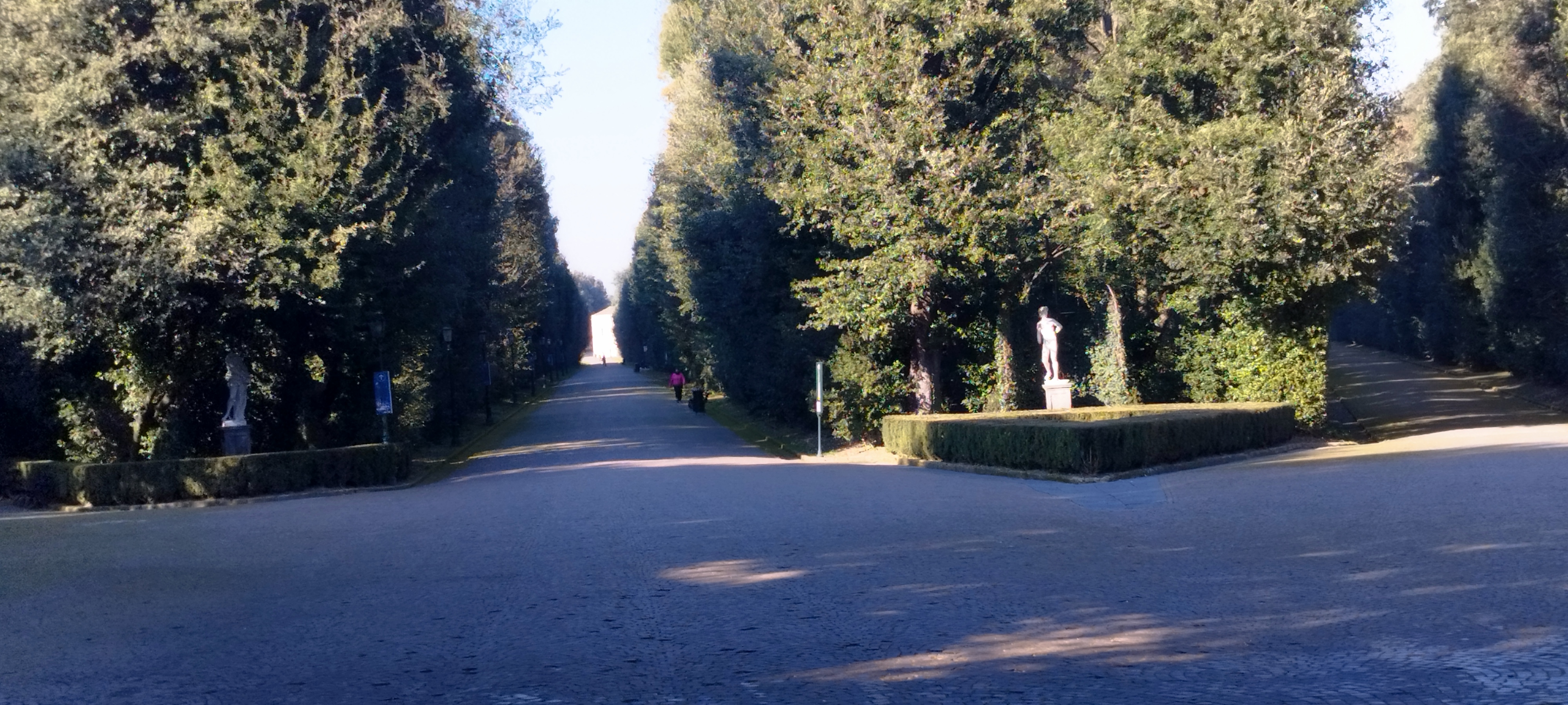 I Viali del Real Bosco di Capodimonte di ilfotografo