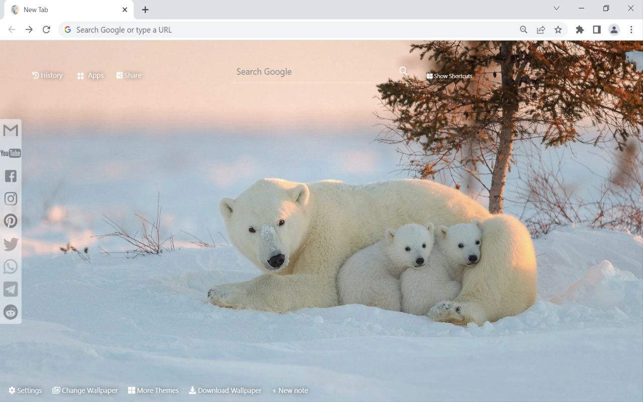 Polar Bear Wallpaper New Tab Preview image 1