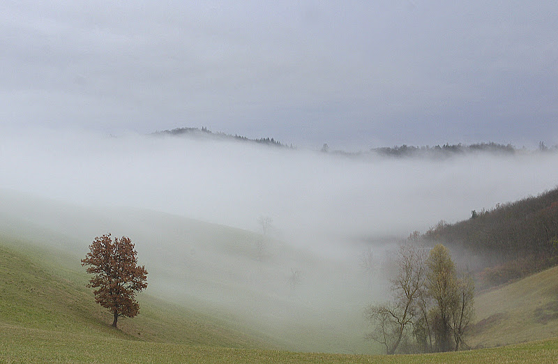 La nebbia nelle Langhe. di Naldina Fornasari