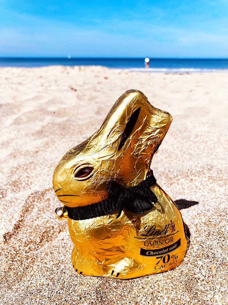 Gold Bunny à la plage! di timon