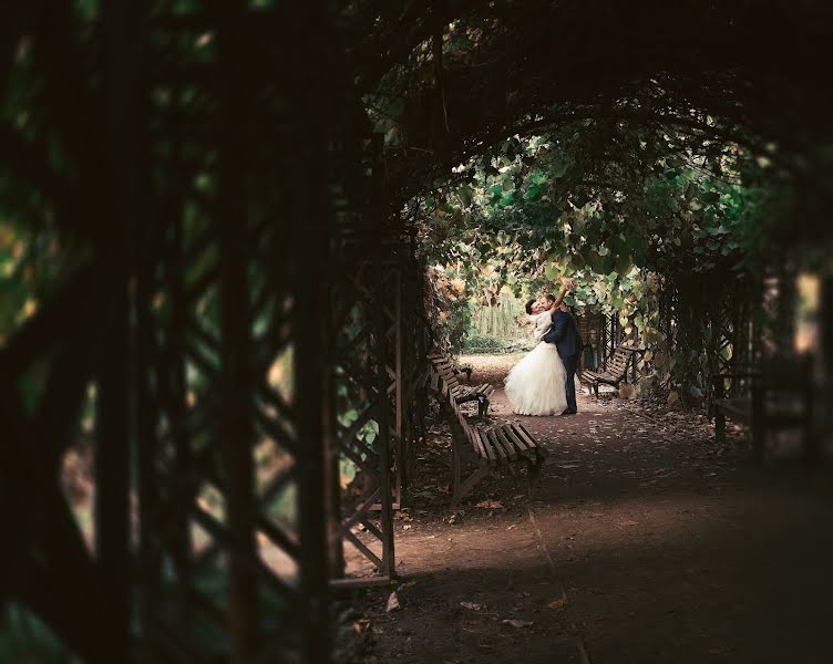 ช่างภาพงานแต่งงาน Aleksey Galushkin (photoucher) ภาพเมื่อ 22 พฤศจิกายน 2013