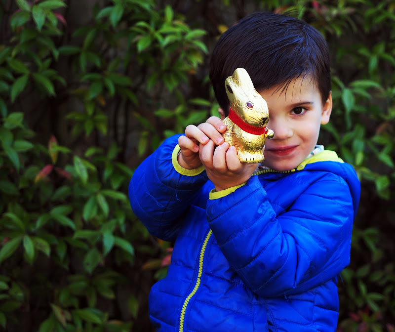 Trovato il coniglietto di Pasqua di mamanu