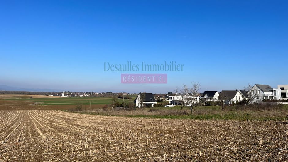 Vente terrain  311 m² à Galfingue (68990), 70 670 €