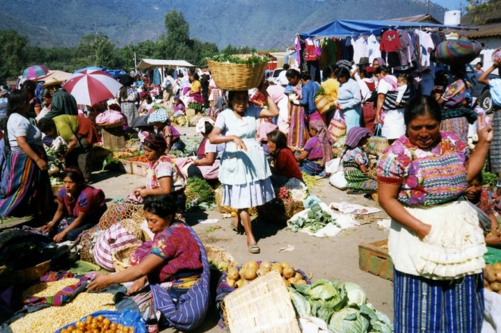 IL MERCATO DEGLI DEI di brunin