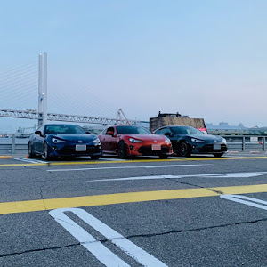 86 ZN6