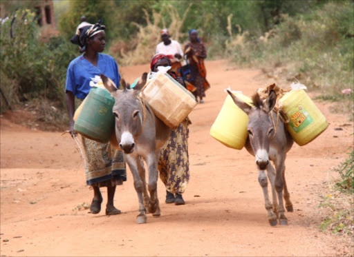 Grace Mutinda and her two donkeys in search of water in Makueni county in June 2012.