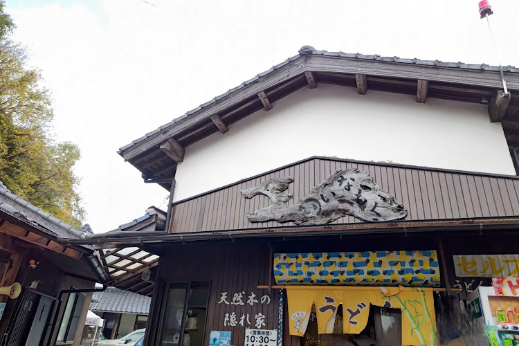 MINI ジョンクーパーワークスの色んな秋見つけました・いなもくうどん・ギンナンどーやって食べるの？・チョコさんに挑戦状に関するカスタム事例の投稿画像9枚目