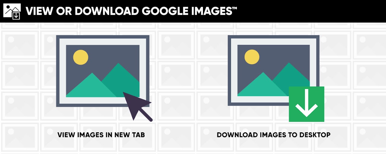 View or download Google Images™ Preview image 2