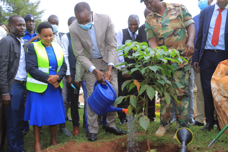 Kisii Governor Simba Arati waters a tree at the Kisii law courts