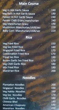 Gokul Pure Veg menu 6