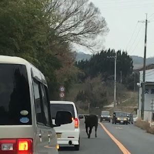 タントエグゼカスタム L455S