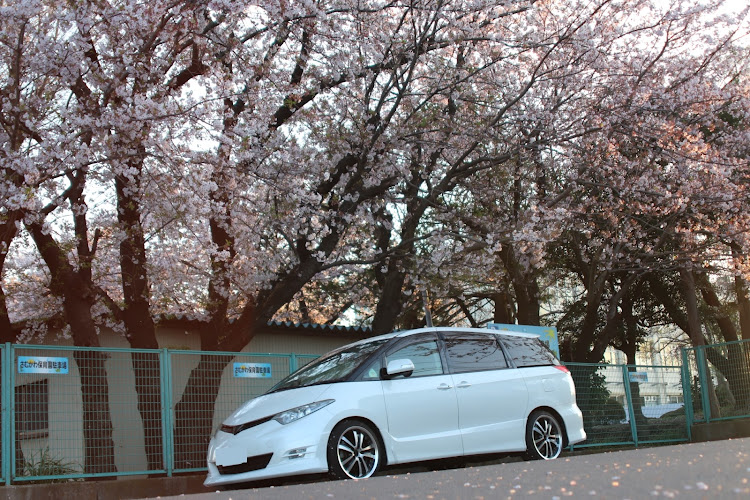 エスティマのエスティマ・桜と愛車に関するカスタム事例の投稿画像3枚目
