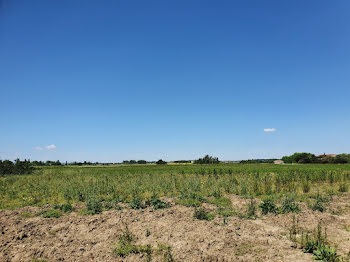 terrain à Alzonne (11)