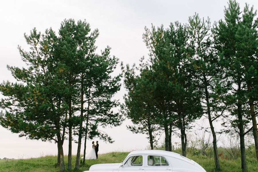 Fotografo di matrimoni Denis Kalinkin (deniskalinkin). Foto del 19 settembre 2015