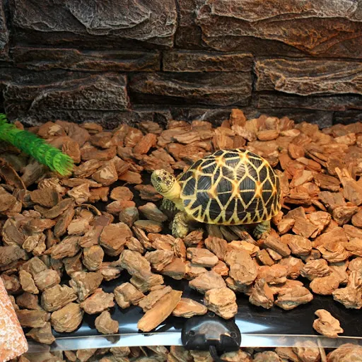 Reptile Heating Pad Reptile Heater Mat Terrarium Warmer Heating Mat 28W/20W/14W/7W /5Wfor Turtle Snake Lizard for Frog S