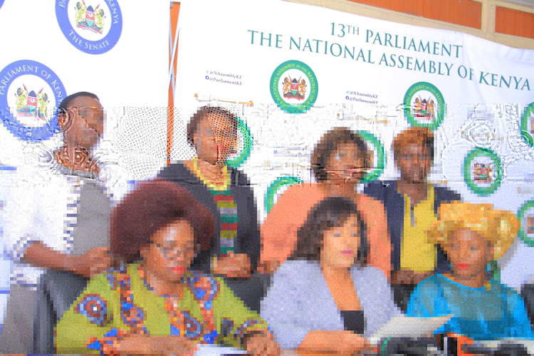 Members of Drugs and Alcoholism Caucus in Parliament led by Gathoni Muchomba address a press conference at parliament on Thursday / EZAKIEL AMINGA