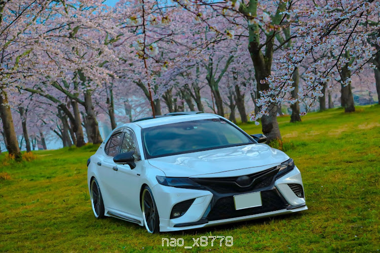 カムリのカムリws・桜・芝生・桜の空・桜の時期は寝不足に関するカスタム事例の投稿画像5枚目