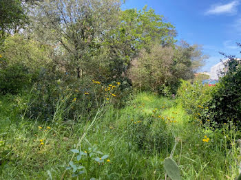 terrain à Saint-raphael (83)