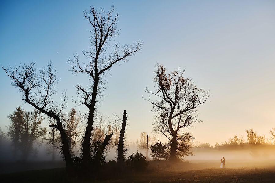 Vestuvių fotografas Olga I Łukasz Malarz (malarzewparze). Nuotrauka 2016 spalio 23