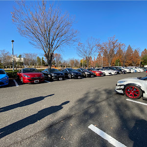 RCZ